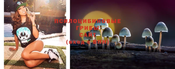 прущая мука Верхний Тагил