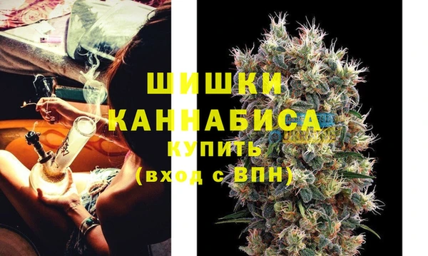 молекула духа Волоколамск
