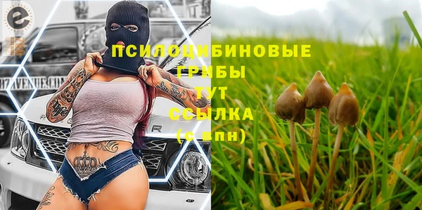 альфа пвп Приозерск