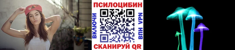 купить наркоту Плёс Галлюциногенные грибы прущие грибы